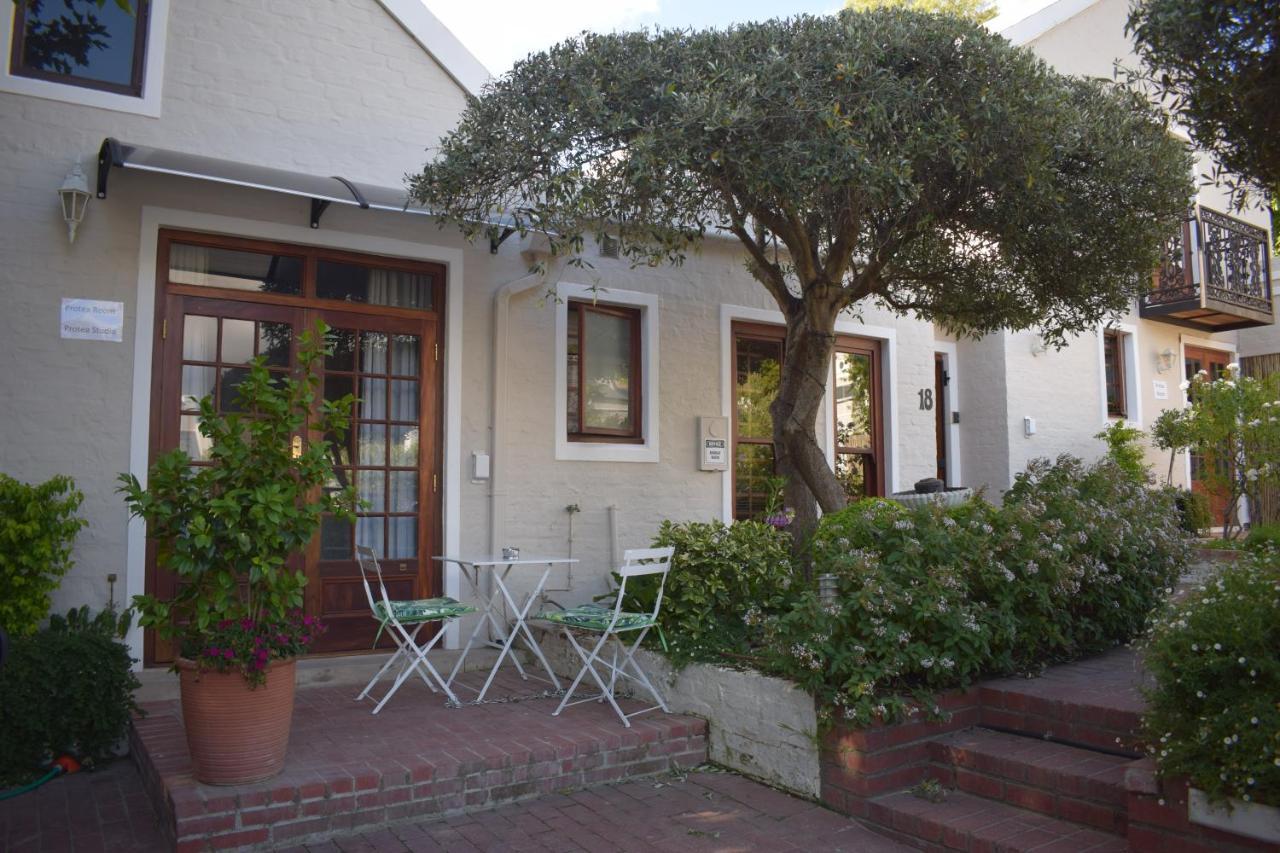 Protea Studio Franschhoek Central Exteriör bild