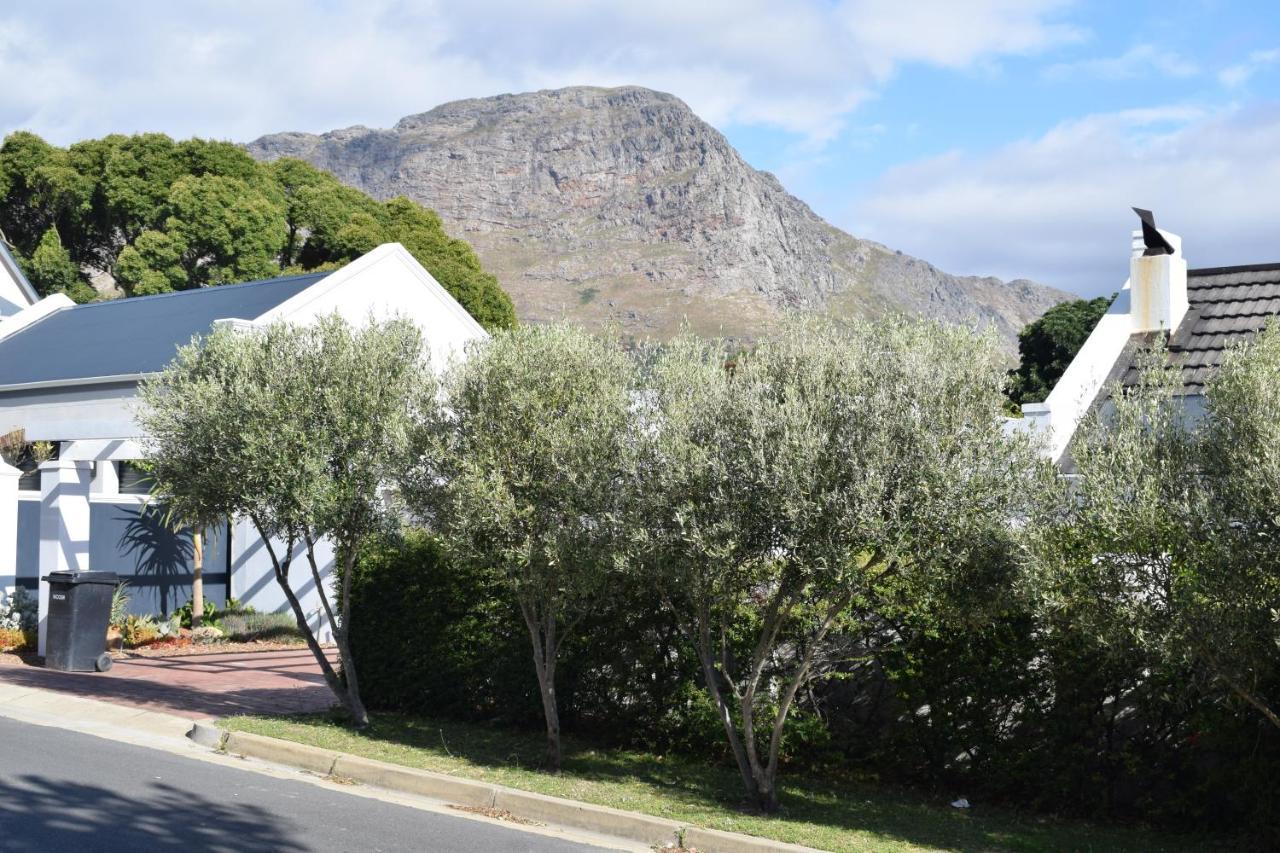 Protea Studio Franschhoek Central Lägenhet Exteriör bild